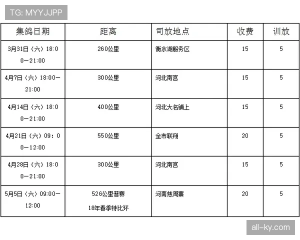 弃权规则：裁判判定条件与比赛处理流程